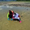 【生態ECO ENCOUNTER】船灣生態探索 獨木舟水上單車二合一  Plover Cover Tour by Kayak and Water bike - Image 7
