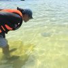 【生態ECO ENCOUNTER】船灣生態探索 獨木舟水上單車二合一  Plover Cover Tour by Kayak and Water bike - Image 6