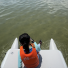 【生態ECO ENCOUNTER】船灣生態探索 獨木舟水上單車二合一  Plover Cover Tour by Kayak and Water bike - Image 3